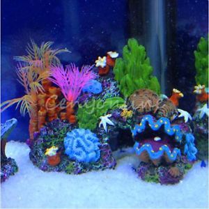 Different Types of Saltwater Aquariums
